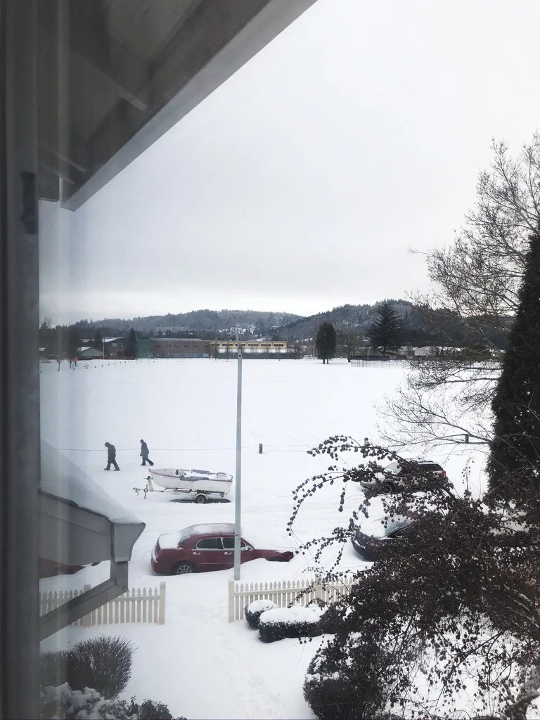 2020 - Oregon Snowstorm