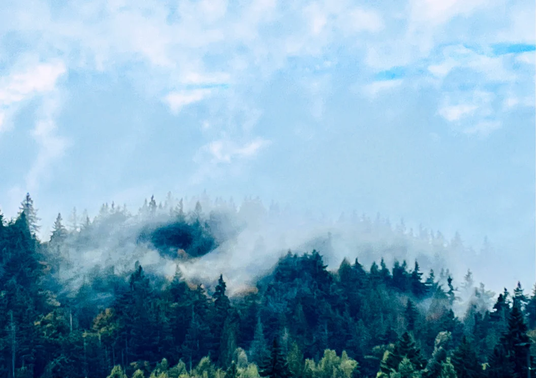 2023 - Clackamas Misty Trees